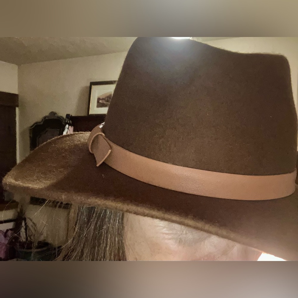 Classic Brown Fedora Hat